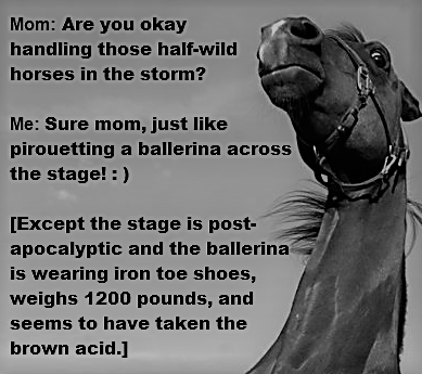 horse ballerina on acid (2)